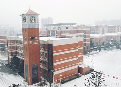 大师实训
