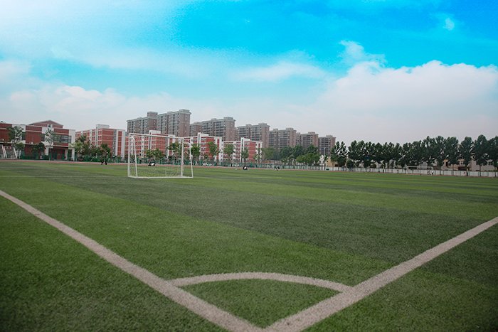 办学质量稳步提升